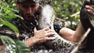 Discovery Channel discovers that people don’t want to see a man eaten by a snake